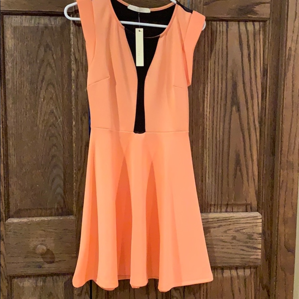 Skater dress with black mesh